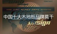中国十大木地板品牌莫干山：用“新意”呵护全家