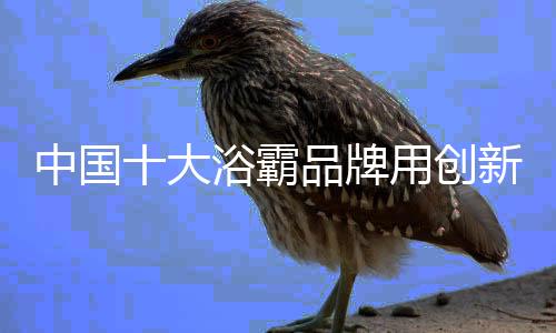 中国对于许多浴霸企业来说