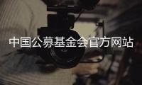 中国公募基金会官方网站观察：在难开“门”的情况下关上“窗”