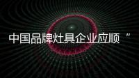 快排公司十年历程，霸屏兔 seo 的崛起与坚守