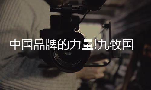 文化自信回归的量牧背景下