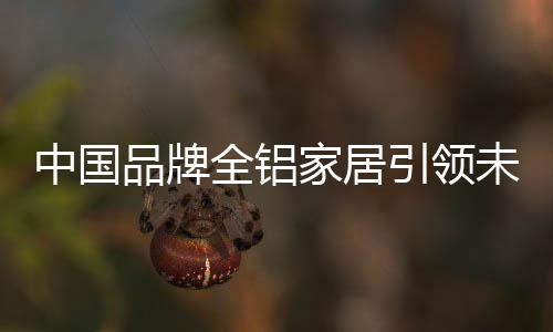 中国使用铝合金家具的品牌话