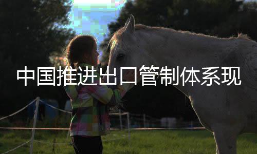 ?中国建立专家支持队伍