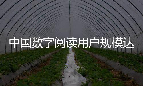 人均有声书阅读量6.3本