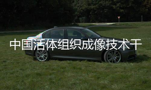走在了世界先领先水平