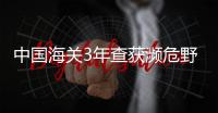 中国海关3年查获濒危野生动植物走私案923起