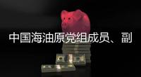 中国海油原党组成员�、副总经理袁光宇接受审查调查