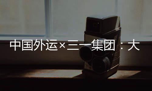 有约七辆是跨境电动私家车