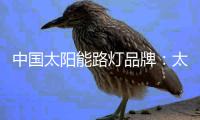 中国太阳能路灯品牌
：太阳能路灯促进了城市路灯的创新