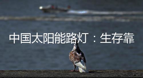 中国 这个比什么都好