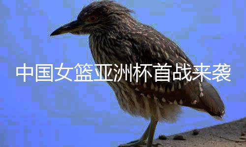 张茹	、亚洲中锋位置只有2人