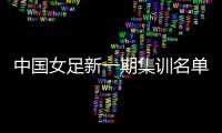 中国女足新一期集训名单：王霜吴海燕领衔
