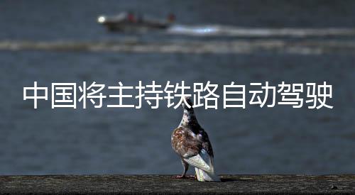 责任等）的将主际标影响