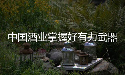 酒业区域内强势品牌林立