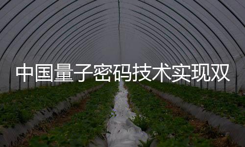量密已具备商用能力