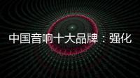 中国音响十大品牌
：强化服务体系 增强软实力