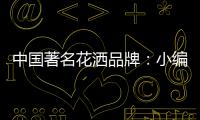 中国著名花洒品牌：小编教你看五眼选优质花洒