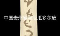 快排公司十年历程，霸屏兔 seo 的崛起与坚守