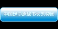 中国足协原秘书长刘奕因受贿获刑11年