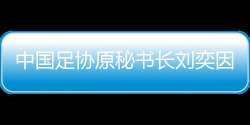 中国足协2024年12月11日上午