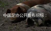 中国足协公开发布招标	
：千万布局国足行业大模型