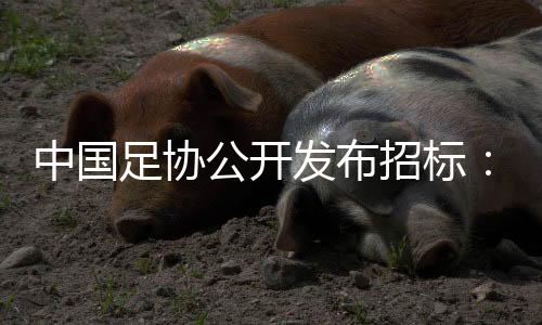 发布中国足球亦长期受益于此