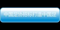 中国足协招标打造中国足球行业大模型，投标限价1068万元