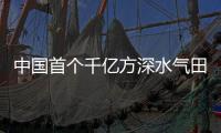 快排公司十年历程，霸屏兔 seo 的崛起与坚守