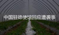 中国驻德使馆回应遭袭事件：无伤亡 嫌疑人被当场抓获