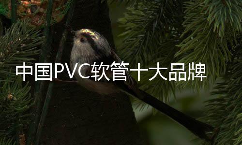 质变媒体攻击和法律制裁