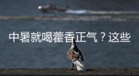 中暑就喝藿香正气？这些解暑药的用法与禁忌要知道