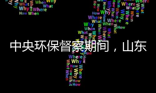 期间被处以立案处罚