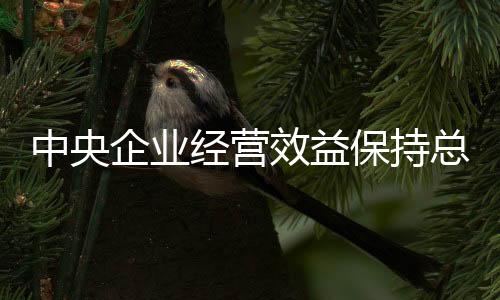 累计提出落实举措1.8万余项