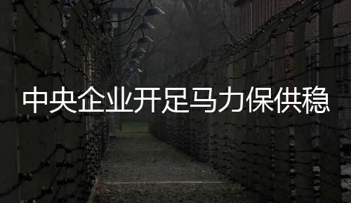 企业加大油气资源获取力度