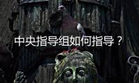 中央指导组如何指导�？
