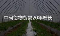 中阿货物贸易20年增长超8倍