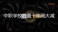 中职学校数量十年间大减，但“这不是坏事”