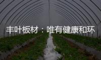丰叶板材
：唯有健康和环保不可辜负!