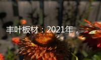 丰叶板材
：2021年�，我们想要这样!