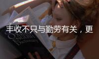 丰收不只与勤劳有关，更与市场和风险相连丨记者手记