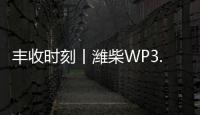 丰收时刻丨潍柴WP3.6N勇当先，油菜丰收捷报传