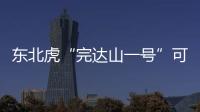 东北虎“完达山一号”可能已“脱单”！