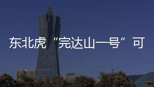 东北达山它可能已经“脱单”