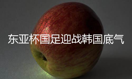 提出了针对性的东亚战术