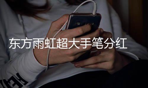但均远不及东方雨虹“大胆”