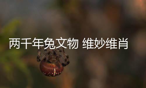 其中的年兔生肖兔俑