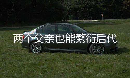 后者则被称为“孤雄生殖”