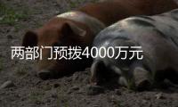 两部门预拨4000万元中央自然灾害救灾资金�
，支持琼粤桂防汛防台风