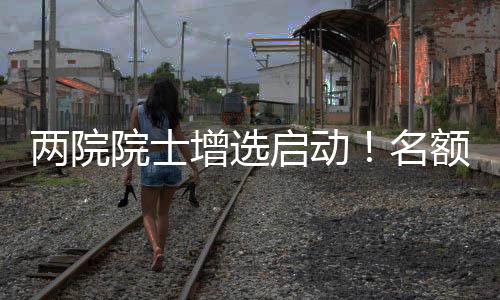 能源与矿业工程学部10名