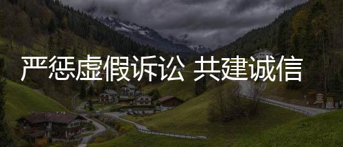 虚假损害了司法形象